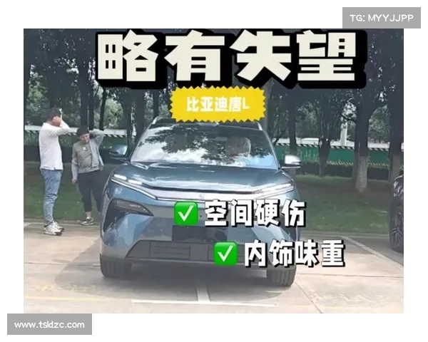 为何才两万公里的比亚迪唐新能源停放三个月没人要?看到底盘秒懂 为何才两万公里的比亚迪唐新能源停放三个月没人要?看到底盘秒懂