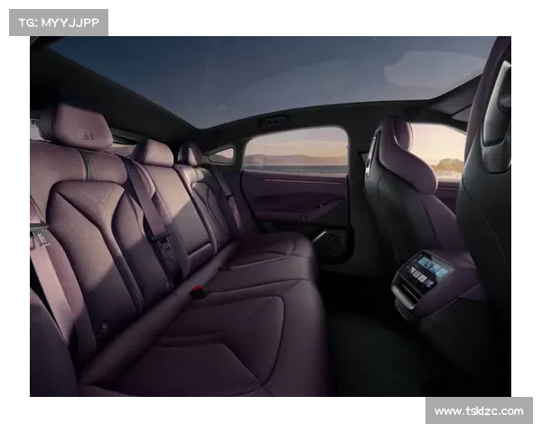 五年磨剑今日出鞘，全新 P7 要带着小鹏再冲一次